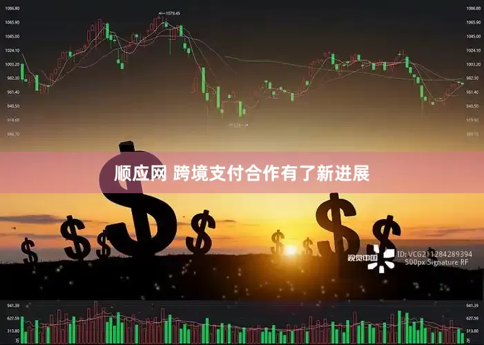 顺应网 跨境支付合作有了新进展