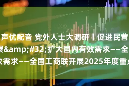 声优配音 党外人士大调研丨促进民营经济高质量发展&#32;扩大国内有效需求——全国工商联开展2025年度重点考察调研