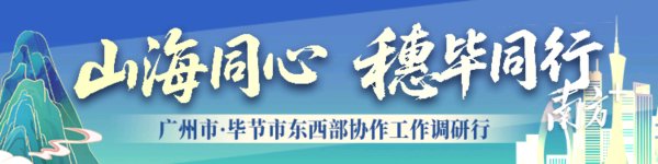 点点金 “苦甲天下”村逆袭了，民宿年分红4.4万元｜穗毕协作